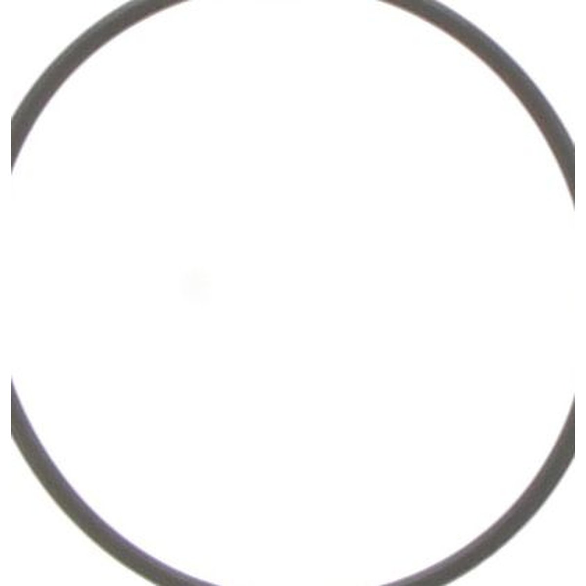 Dayco Thermostat Seal DTG62