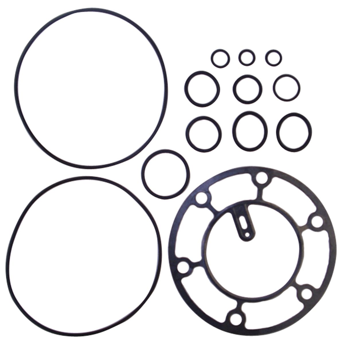 OEX Gasket To Suits Delphi V5 CPX006