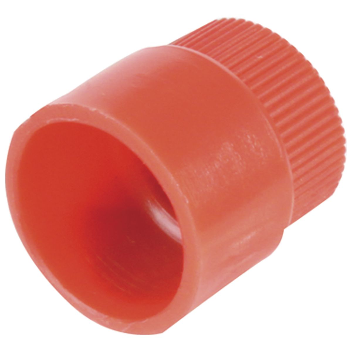 OEX Service Cap High Side R134A 10Pce CPX4053