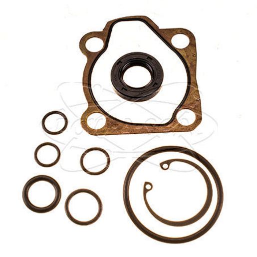 Pow-A-Seal Steering Pump Seal Kit PRK-29701