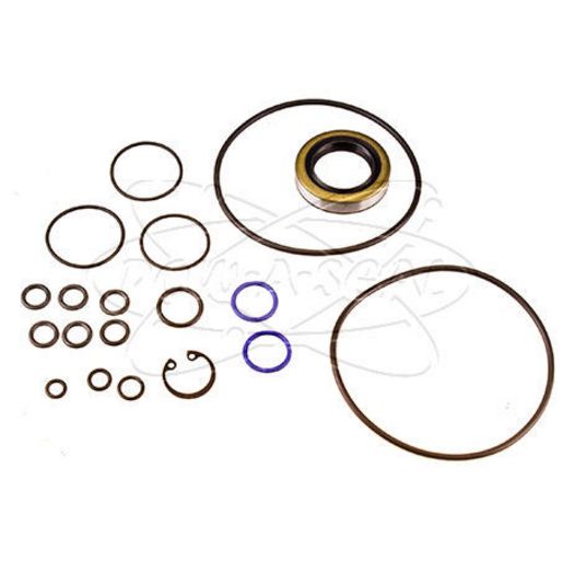 Pow-A-Seal Steering Pump Seal Kit PRK-65401