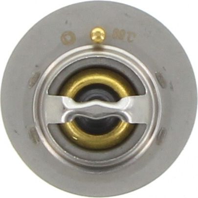 Dayco Thermostat DT29G