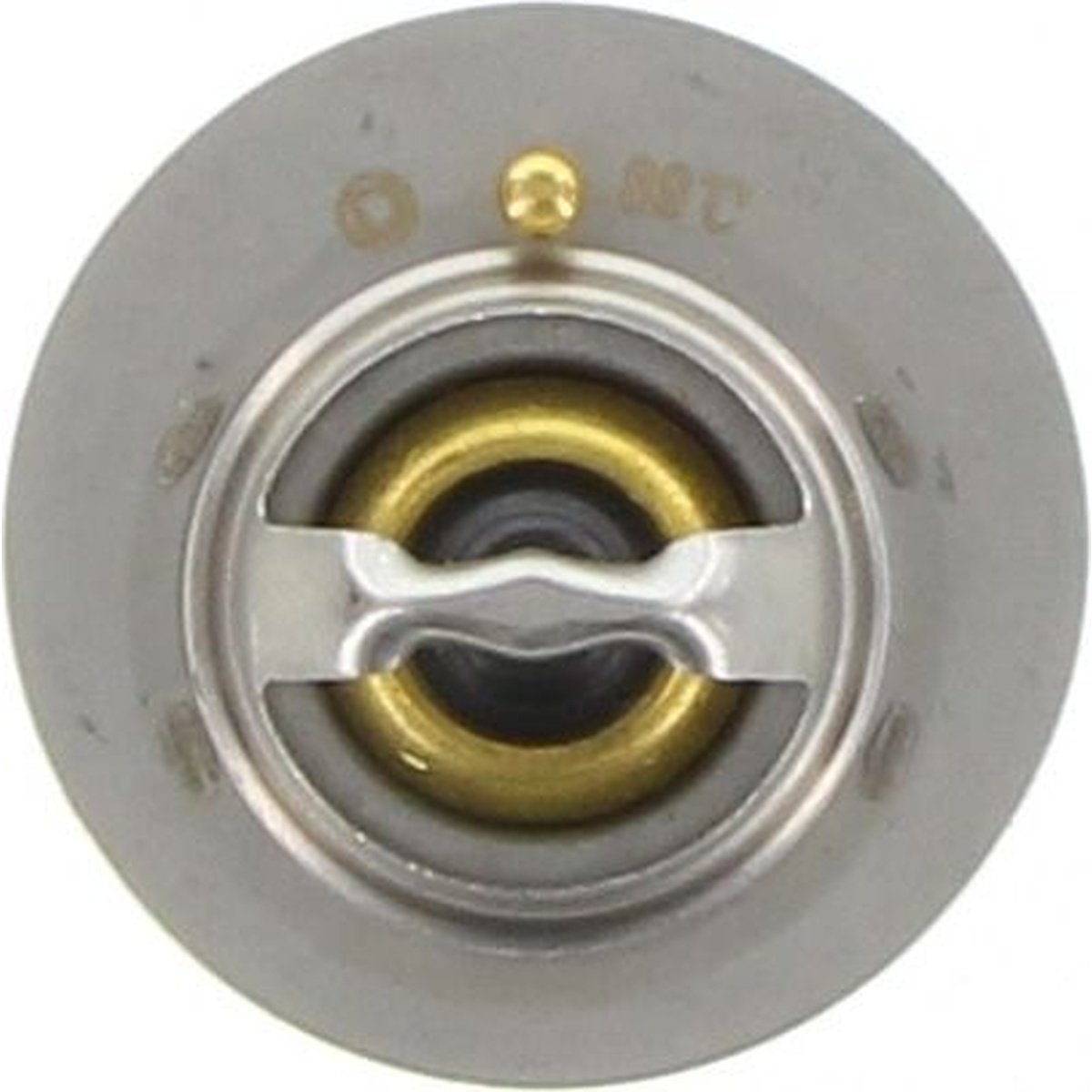 Dayco Thermostat DT29G