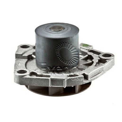 Tru-Flow Water Pump (Saleri Italy) TF8172