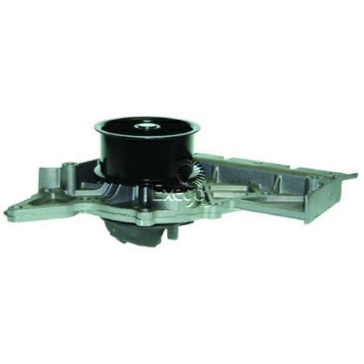 Tru-Flow Water Pump (Saleri Italy) TF8316
