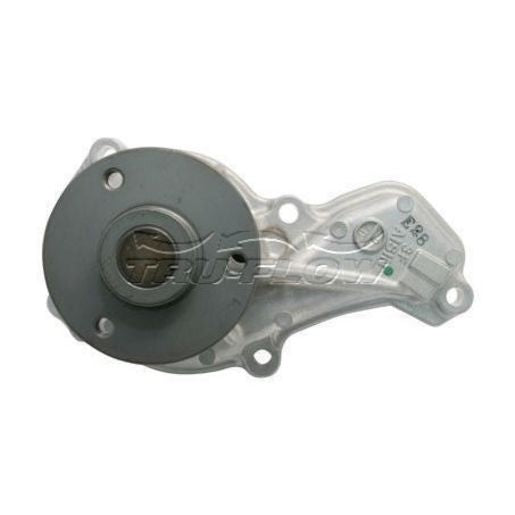Tru-Flow Water Pump (Saleri Italy) TF8341