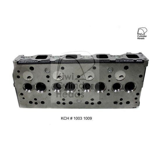 Kiwi Bare Cylinder Head 10031009