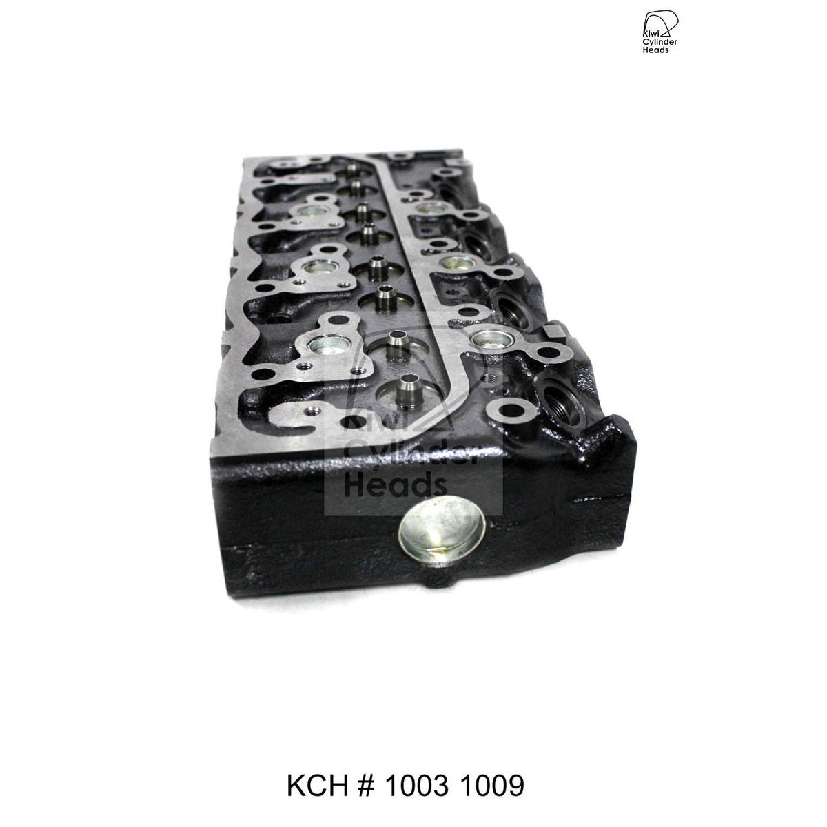 Kiwi Bare Cylinder Head 10031009