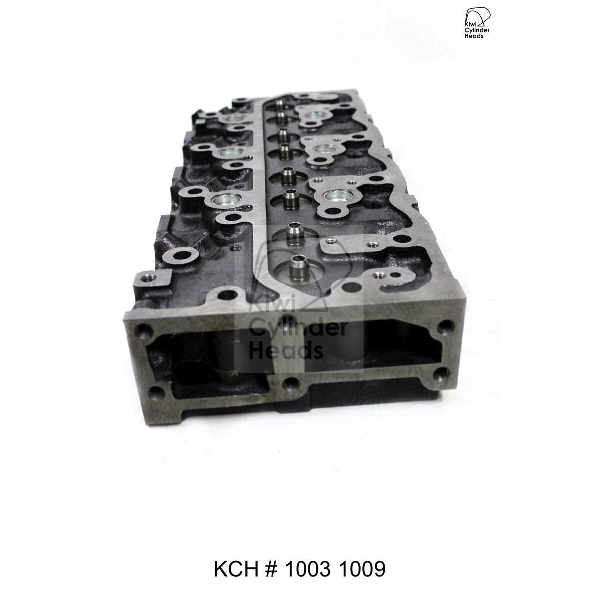 Kiwi Bare Cylinder Head 10031009