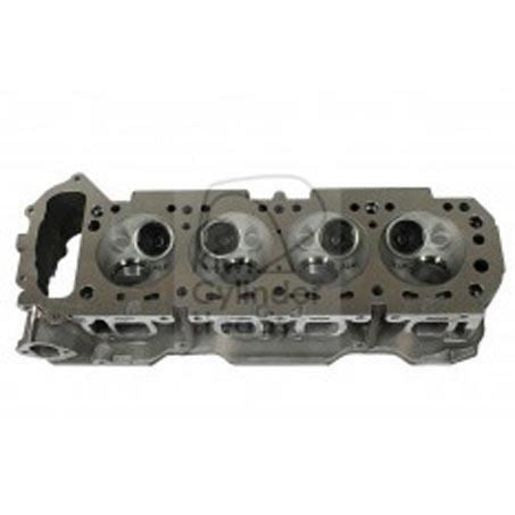Kiwi Bare Cylinder Head 10061032