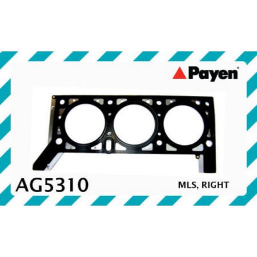 Payen Cylinder Head Gasket AG5310