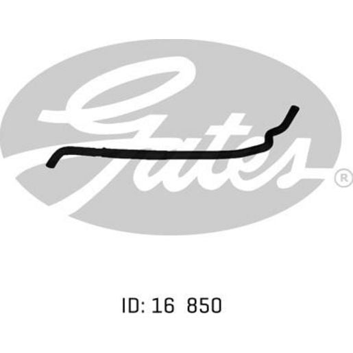 Gates Radiator Hose 02-1163