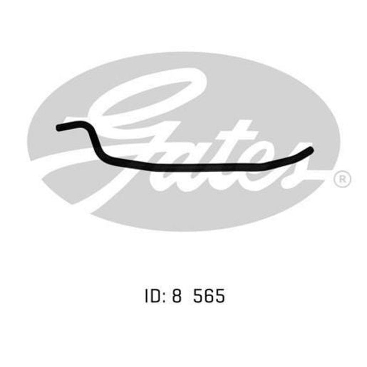 Gates Radiator Hose 02-1242