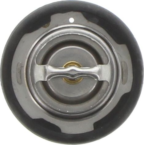 Dayco Thermostat DT104E