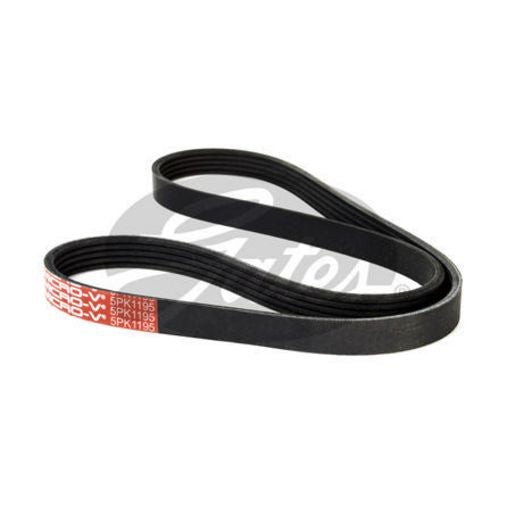 Gates Ribbed Belt 5PK1195
