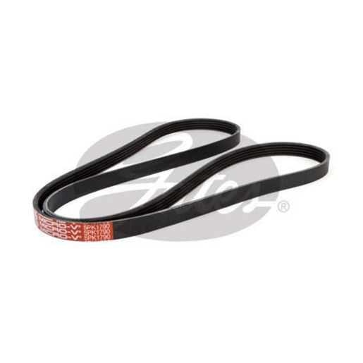 Gates Micro-V Belt 5PK1790