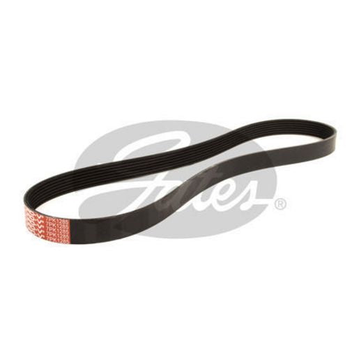 Gates Ribbed Belt 7PK1285