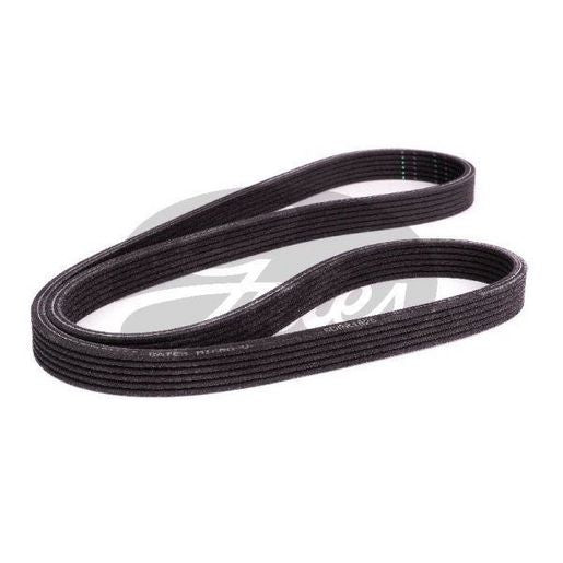 Gates Ribbed Belt 6DPK1825