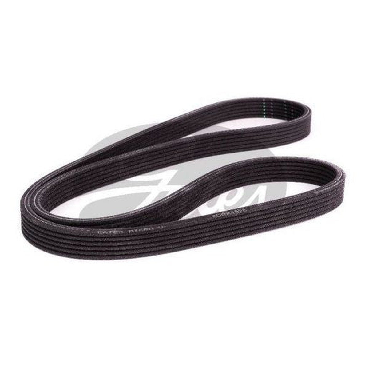 Gates Ribbed Belt 6DPK1825