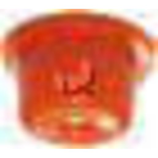 Aznew Injector Pintle Cap 100pc PC002-100