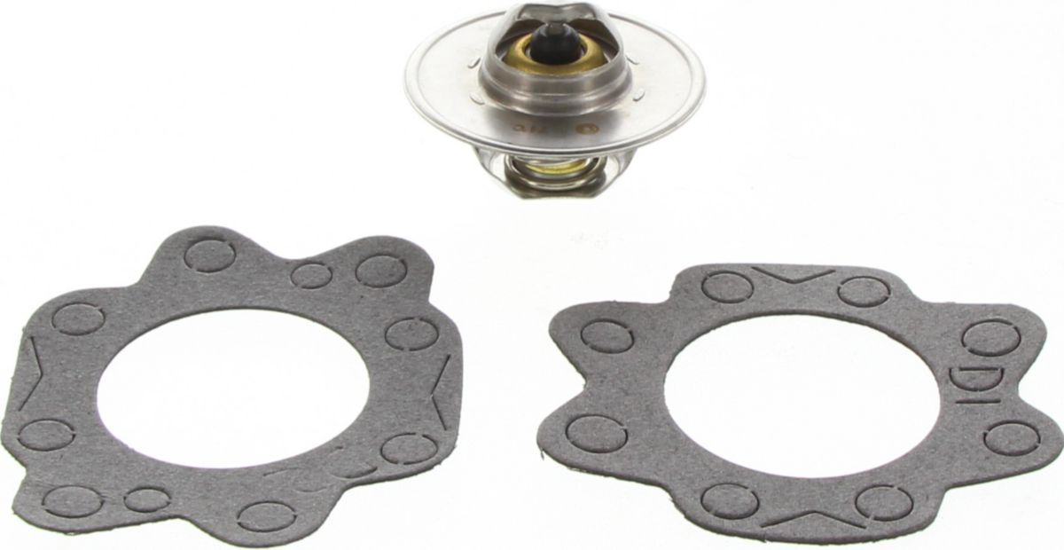Dayco Thermostat DT30C-BP