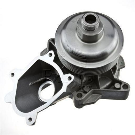 Tru-Flow Water Pump (Saleri Italy) TF8380