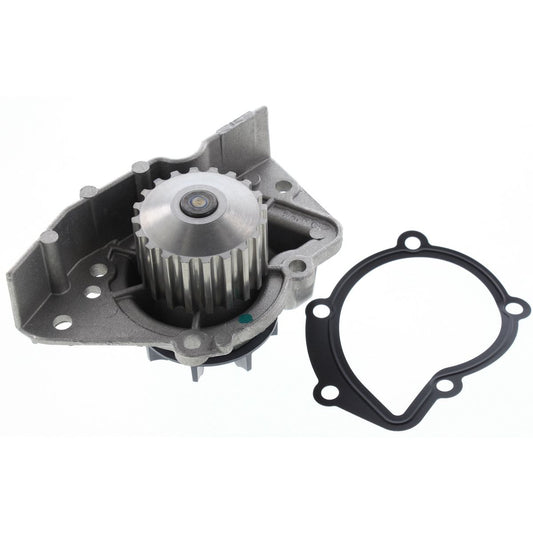 Tru-Flow Water Pump (Saleri Italy) TF8401
