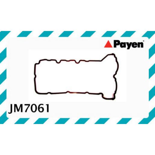 Payen Valve Cover Gasket JM7061