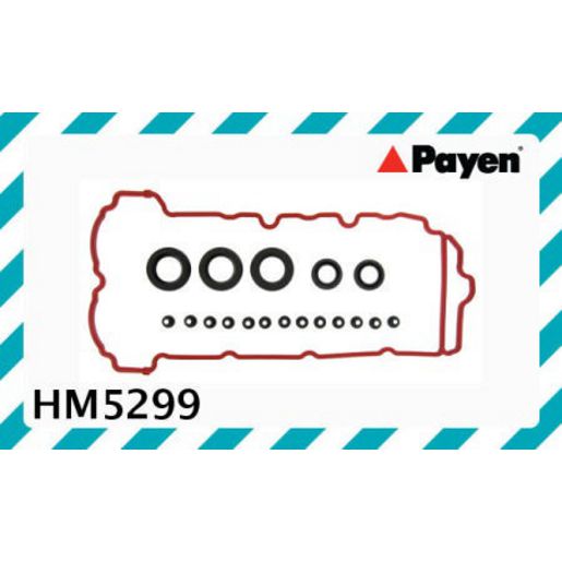 Payen Valve Cover Gasket HM5299
