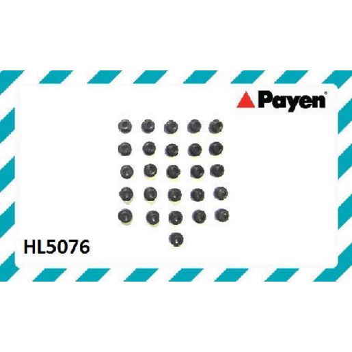 Payen Valve Cover Bolt Seal/Washer HL5076