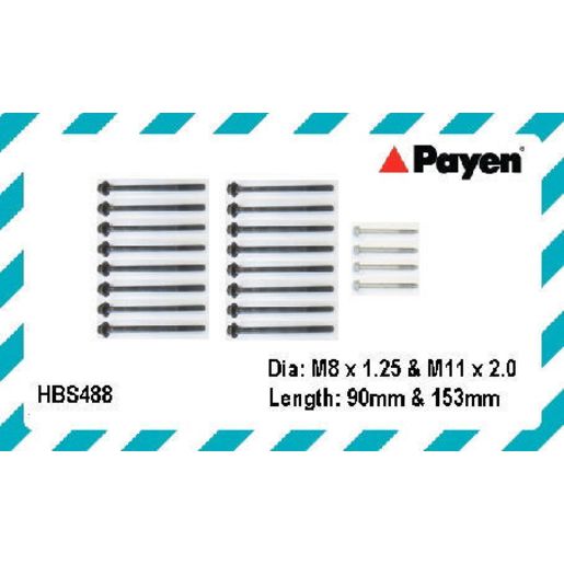 Payen Bolt Set-Cylinder Head HBS488