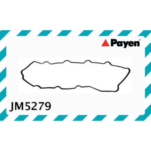 Payen Valve Cover Gasket JM5279