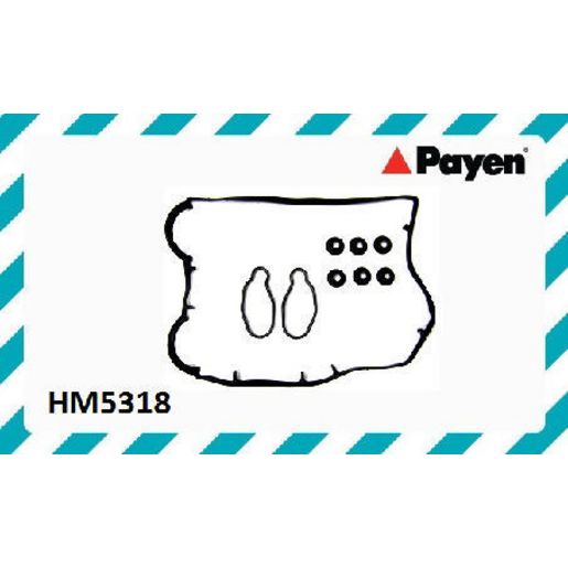 Payen Valve Cover Gasket HM5318