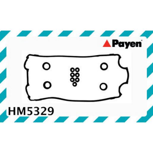 Payen Valve Cover Gasket HM5329