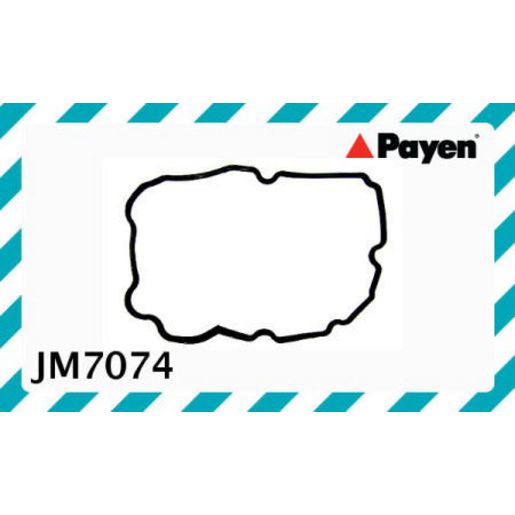 Payen Valve Cover Gasket JM7074