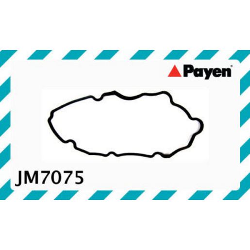 Payen Valve Cover Gasket JM7075