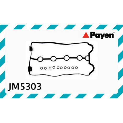 Payen Valve Cover Gasket JM5303
