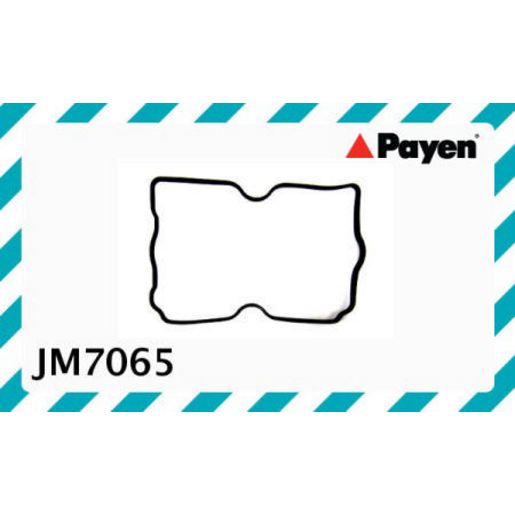 Payen Valve Cover Gasket JM7065