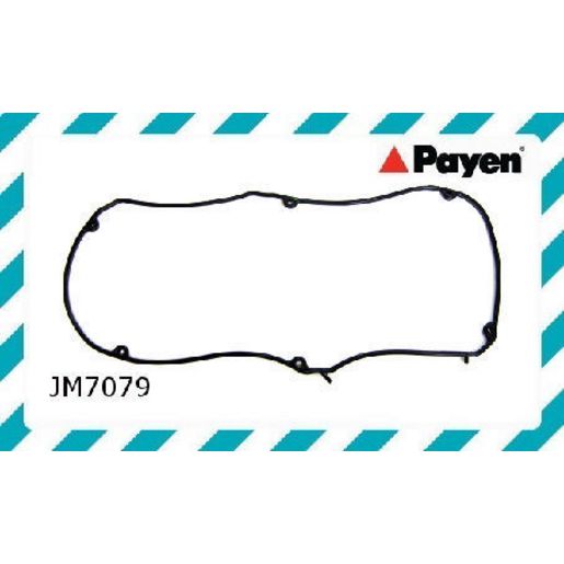 Payen Valve Cover Gasket JM7079