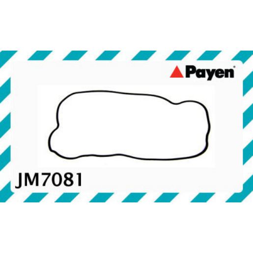 Payen Valve Cover Gasket JM7081