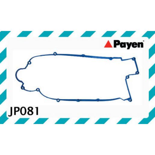 Payen Valve Cover Gasket JP081