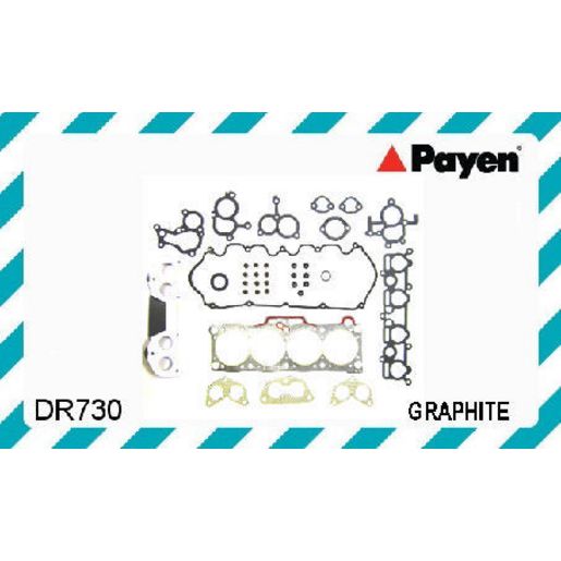 Front Brake Rotor Pair Protex DR730