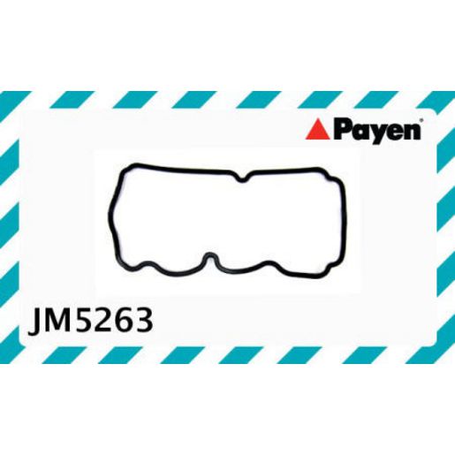 Payen Valve Cover Gasket JM5263