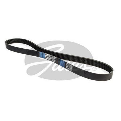 Gates Ribbed Belt 6PK1140SF