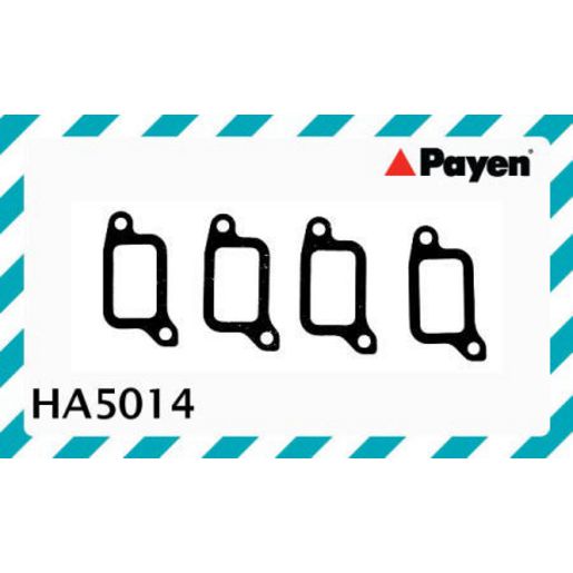 Payen Manifold Gasket HA5014