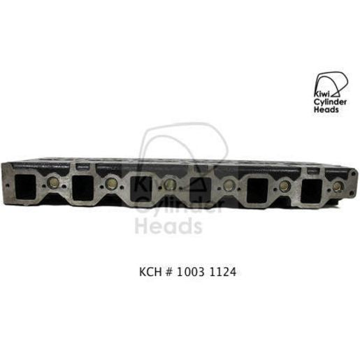 Kiwi Bare Cylinder Head 10031124