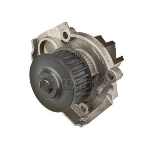 Tru-Flow Water Pump (Saleri Italy) TF8421