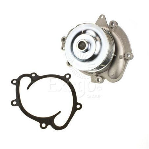 Tru-Flow Water Pump (Saleri Italy) TF8422