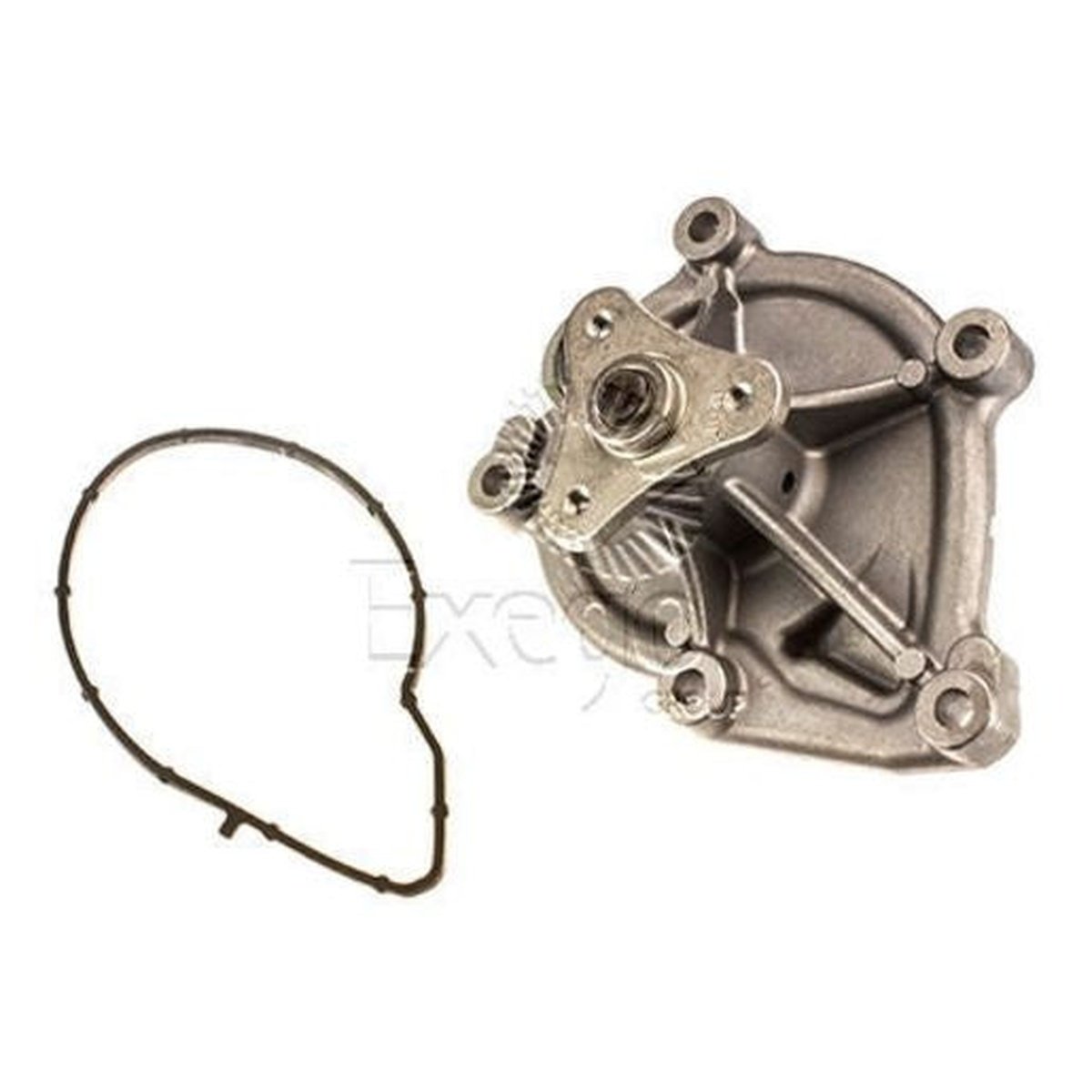 Tru-Flow Water Pump (Saleri Italy) TF8428