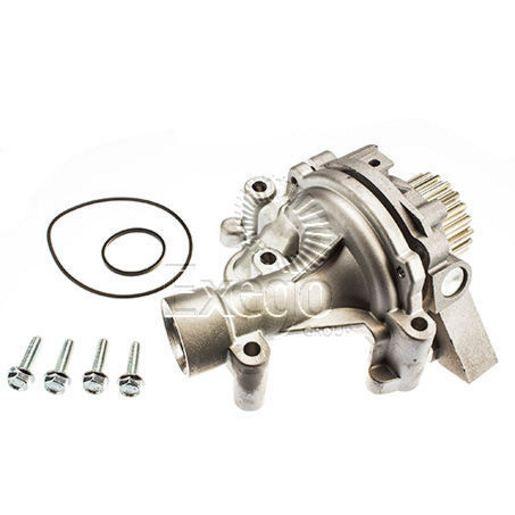 Tru-Flow Water Pump (Saleri Italy) TF8430